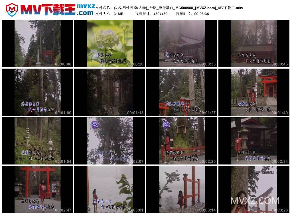 佚名-男性苦恋(人物)_台语_流行歌曲_MC500988